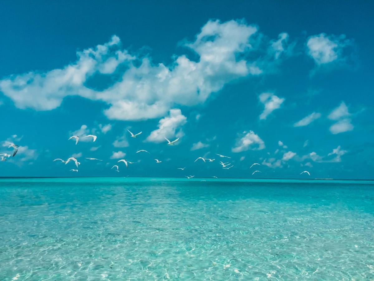 Perla Dhangethi Exterior photo